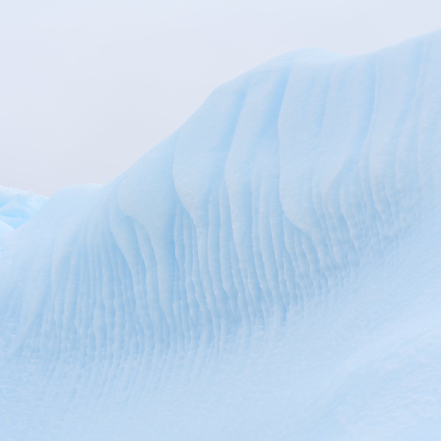 Antarctica Series #1